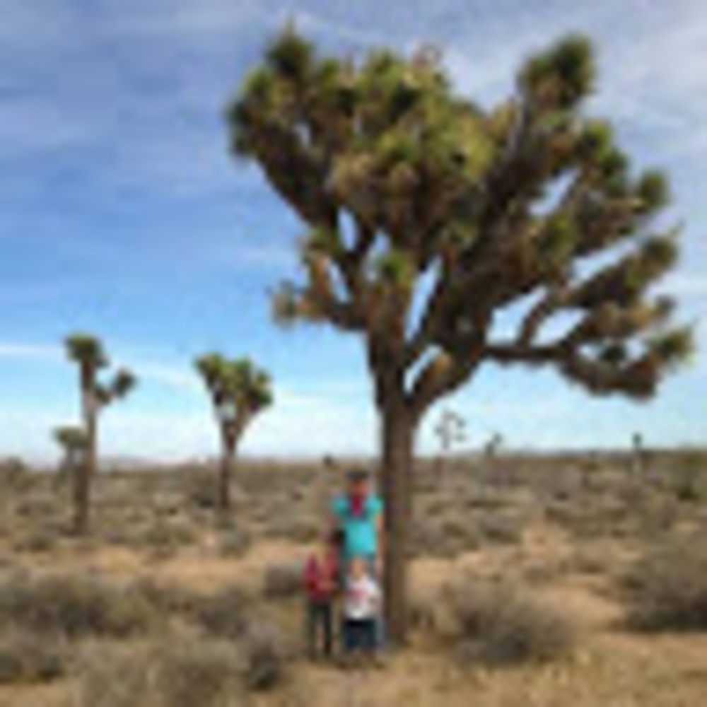 Meet your Posher, Abbey